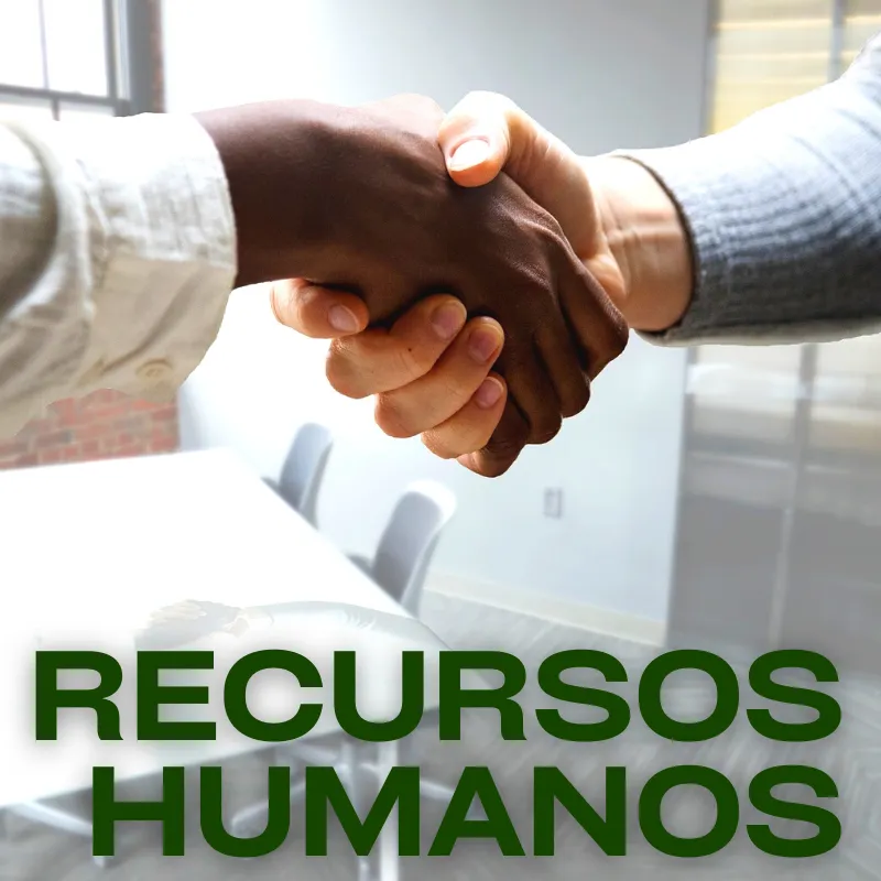 RECURSOS HUMANOS-básico