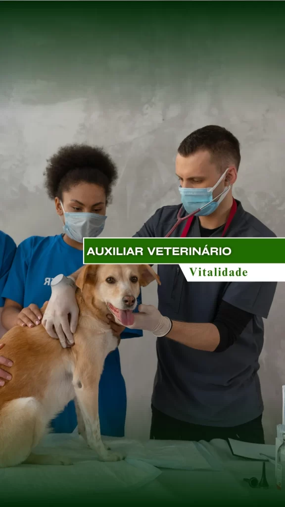Auxiliar Veterinário Auxiliar Veterinário