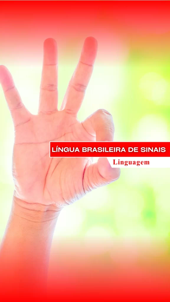 Língua Brasileira de Sinais Língua Brasileira de Sinais